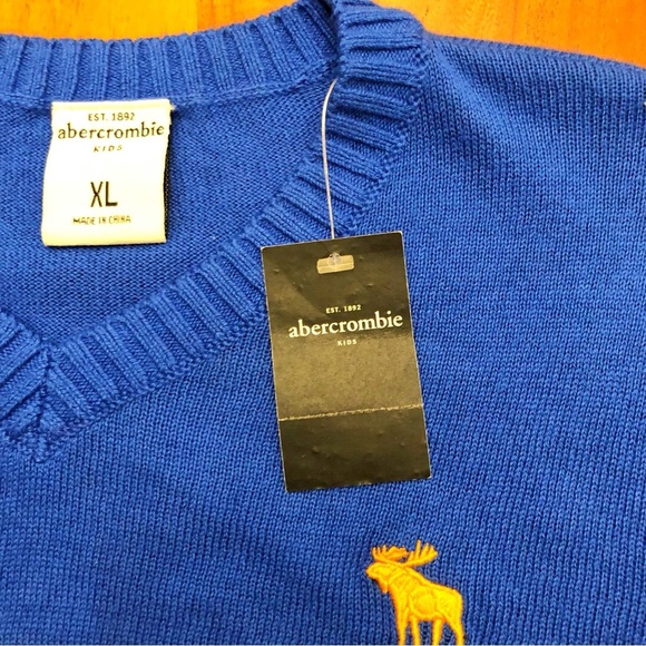 NWT Abercrombie & Fitch Relaxed Fit Casual Royal Blue V Neck Long Sleeve Sweater - Picture 2 of 14